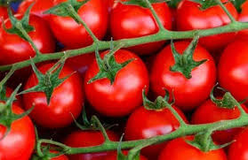 بندوره كرزية