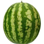 بطيخ