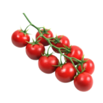 بندورة كرزية