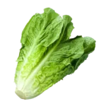 خس