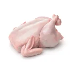 دجاج كاملة