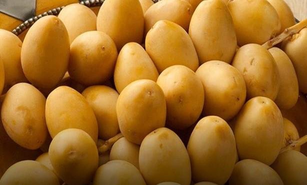 بلح