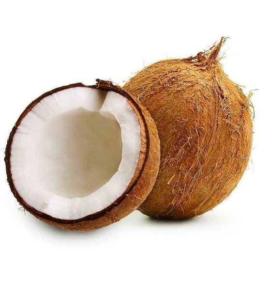 جوز هند