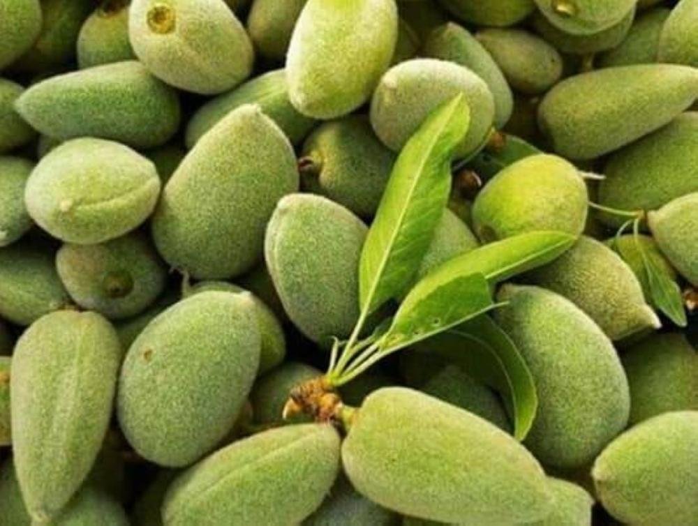 لوز أخضر