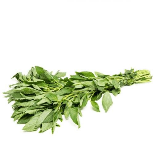 ملوخيه بعروقها